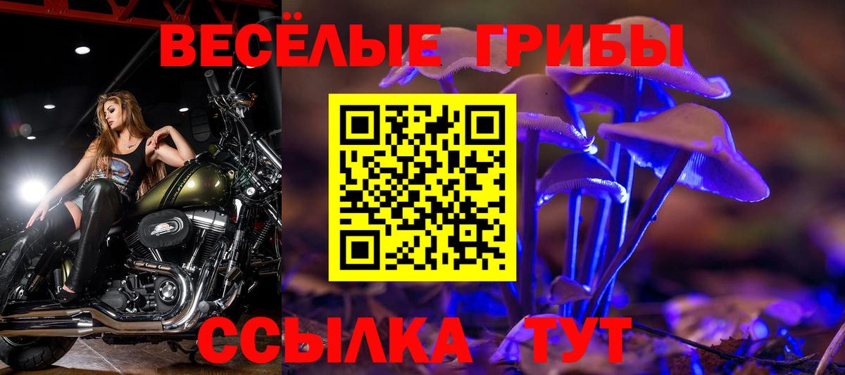 Ногинск  купить  цена  Вход с VPN  Галлюциногенные грибы прущие грибы 
