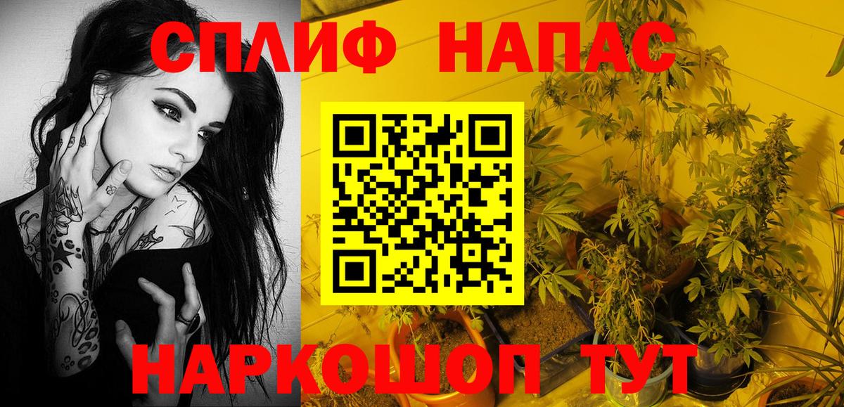 Канабис конопля Ногинск